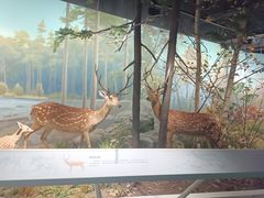 -武汉园博园(武汉自然博物馆)