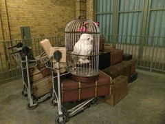 -奥兰多环球影城