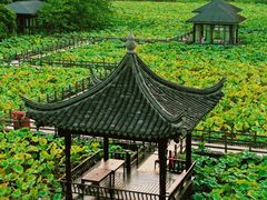 -绍兴镜湖国家城市湿地公园