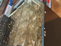 -亚马逊环球美食百汇(新城吾悦广场店)