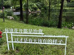 -云溪植物园