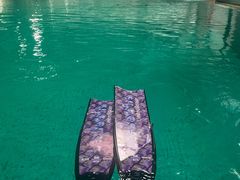 -重庆市奥林匹克体育中心-游泳跳水馆