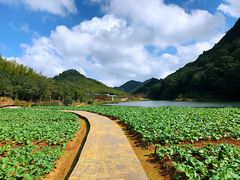 -广州市石门国家森林公园