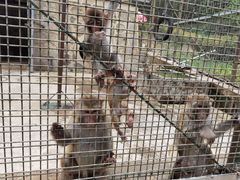 -南京金牛湖风景区