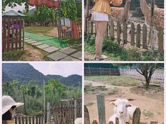 -云漫湖生态度假公园