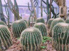 -郑州植物园
