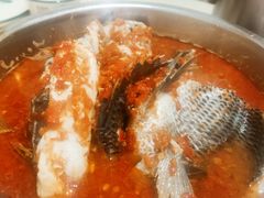 -风鑫铃罗非鱼(道沟店)