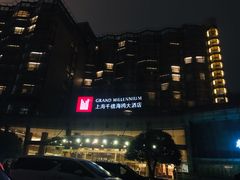 -上海千禧海鸥大酒店