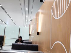 -麦当劳(北京大兴机场二层国内到达(安检外)店)