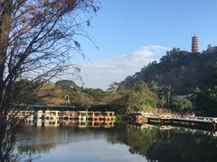 -南沙蒲洲花园
