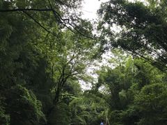 -九曲溪漂流