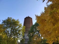 -玲珑塔公园