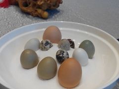 -冶春茶社(太和广场店)