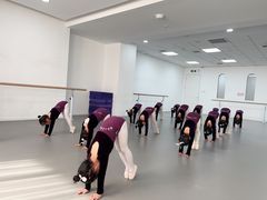 -西安小天鹅艺术团(金花路校区)