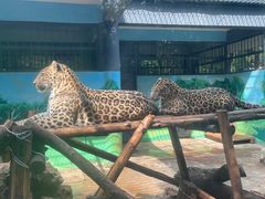 -昆明动物园