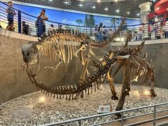 -国家自然博物馆