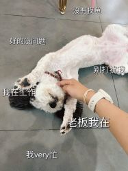 -Moni星球萌宠·小马宝莉·灵蛇·高端高阶全萌宠互动体验俱乐部(红豆国际广场店)