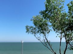 -海滨浴场