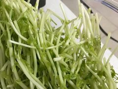 豌豆苗-盒马鲜生(岭南新世界店)