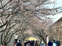 -国际非物质文化遗产博览园