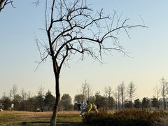 -汉长安城未央宫国家考古遗址公园