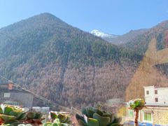 -四姑娘山阿巴郎·藏式花园餐厅