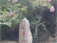-少华山国家森林公园