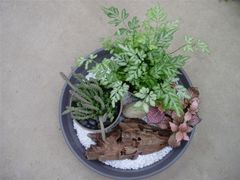 -荷兰布尔玛国际花艺学院