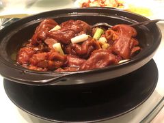 -金轩中餐厅 Jin Xuan(浦东丽思卡尔顿酒店)