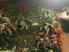 -味之绝热血美蛙鱼火锅(中坝店)