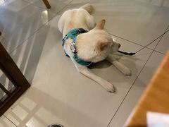 -钰田大院·碳烤虹鳟鱼·怀柔地道农家菜(雁栖湖店)