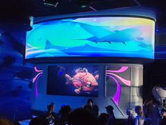 -海底巡游艇:尼莫和好友的海洋世界