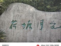 -荷塘月色湿地公园·向阳花洲