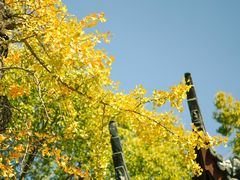 -西园戒幢律寺