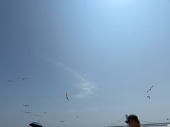 -星海广场