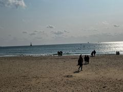 -海云台海滩