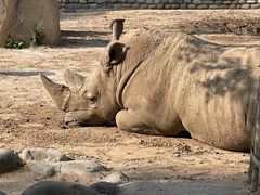 -北京野生动物园