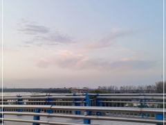 -合肥滨湖国家森林公园