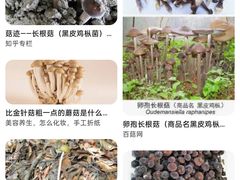 -雀舞云南菜(乐客城店)