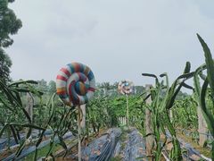 -南沙蒲洲花园