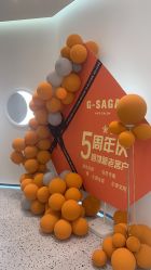 点击看大图 -G-SAGA形象设计