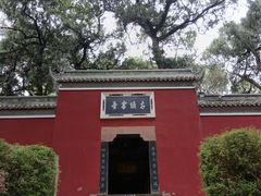 -子昂故里文化旅游区