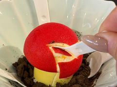 -菌自由丨野生菌火锅特色庭院餐厅(丽江古城店)