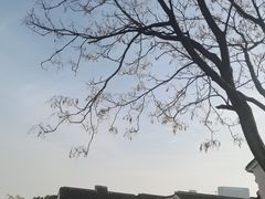 -山塘街