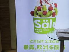 -Salud撒露欧洲冻酸奶(蓝色港湾店)