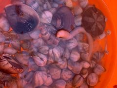 -北海金海湾红树林生态旅游区