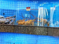 -金悦轩海鲜酒家(拱北店)
