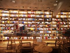 -猫的天空之城概念书店(束河店)