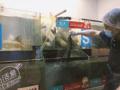 水产区-鱼酷活鱼烤鱼(沈阳大悦城店)