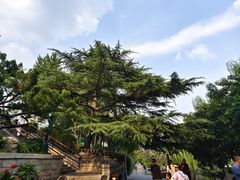 -环城公园